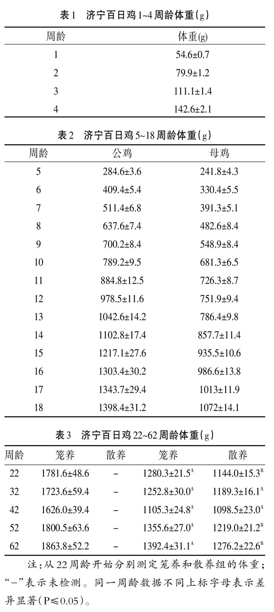 不同饲养方式对济宁百日鸡生产性能的影响