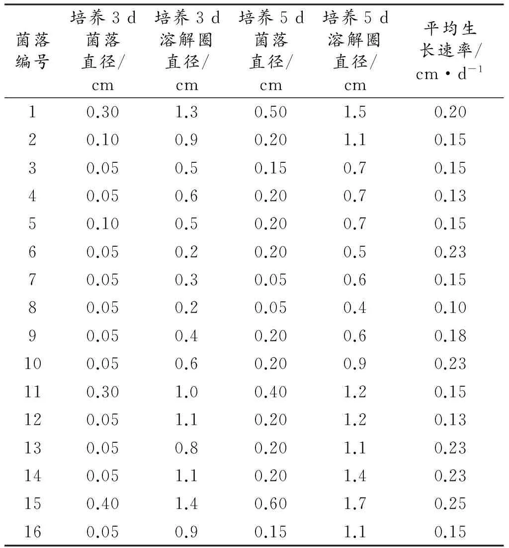 纤维素分解菌的分离选育