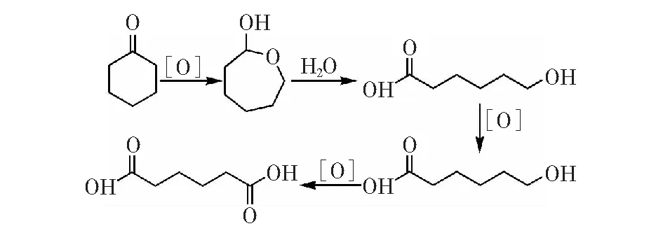 环己酮绿色合成己二酸
