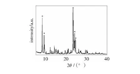 新型HZSM-5分子筛合成及催化苯、甲醇烷基化反应研究