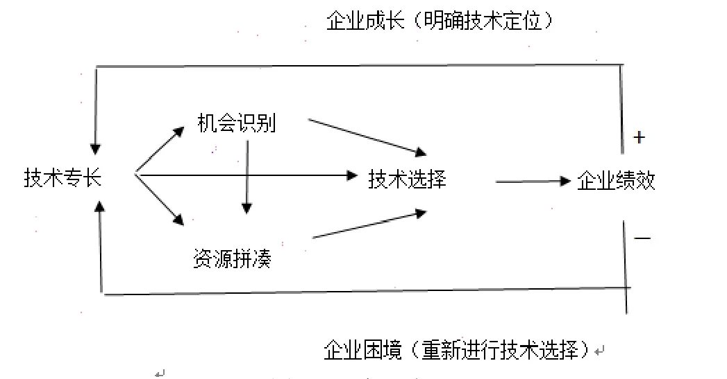 温州小微企业创业成长的单案例研究——基于技术型企业家角度