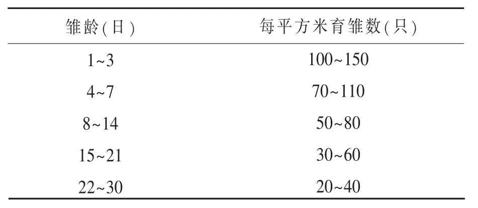 生态健康风味鸡养殖关键技术
