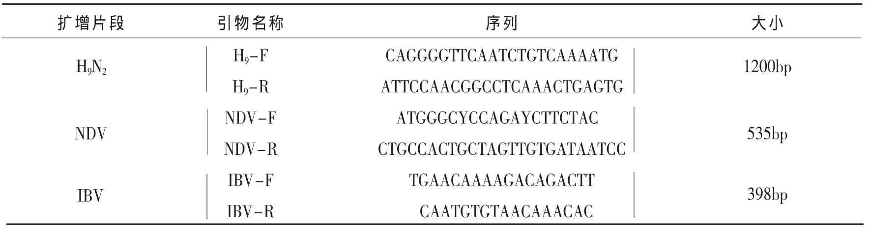 某肉鸡场新城疫、H9亚型禽流感、传染性支气管炎感染状况调查*