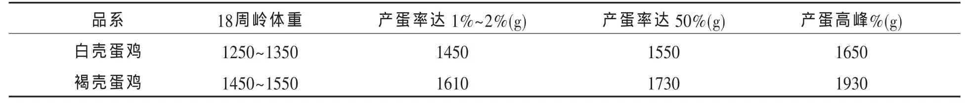 开产蛋鸡体重及体型控制技术要点