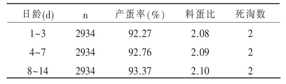 育雏那点事儿