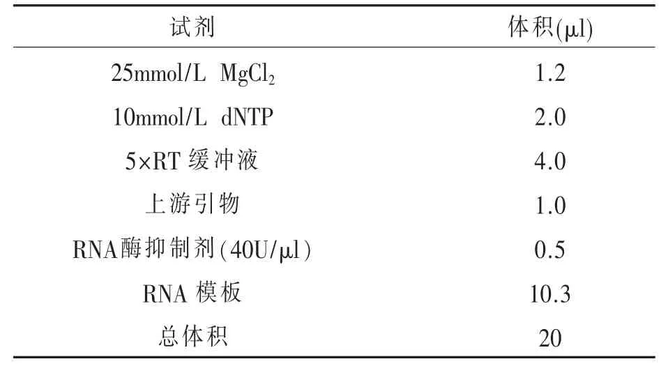 一株鹅源鸭甲肝病毒1型的分离及AGP和RT-PCR鉴定