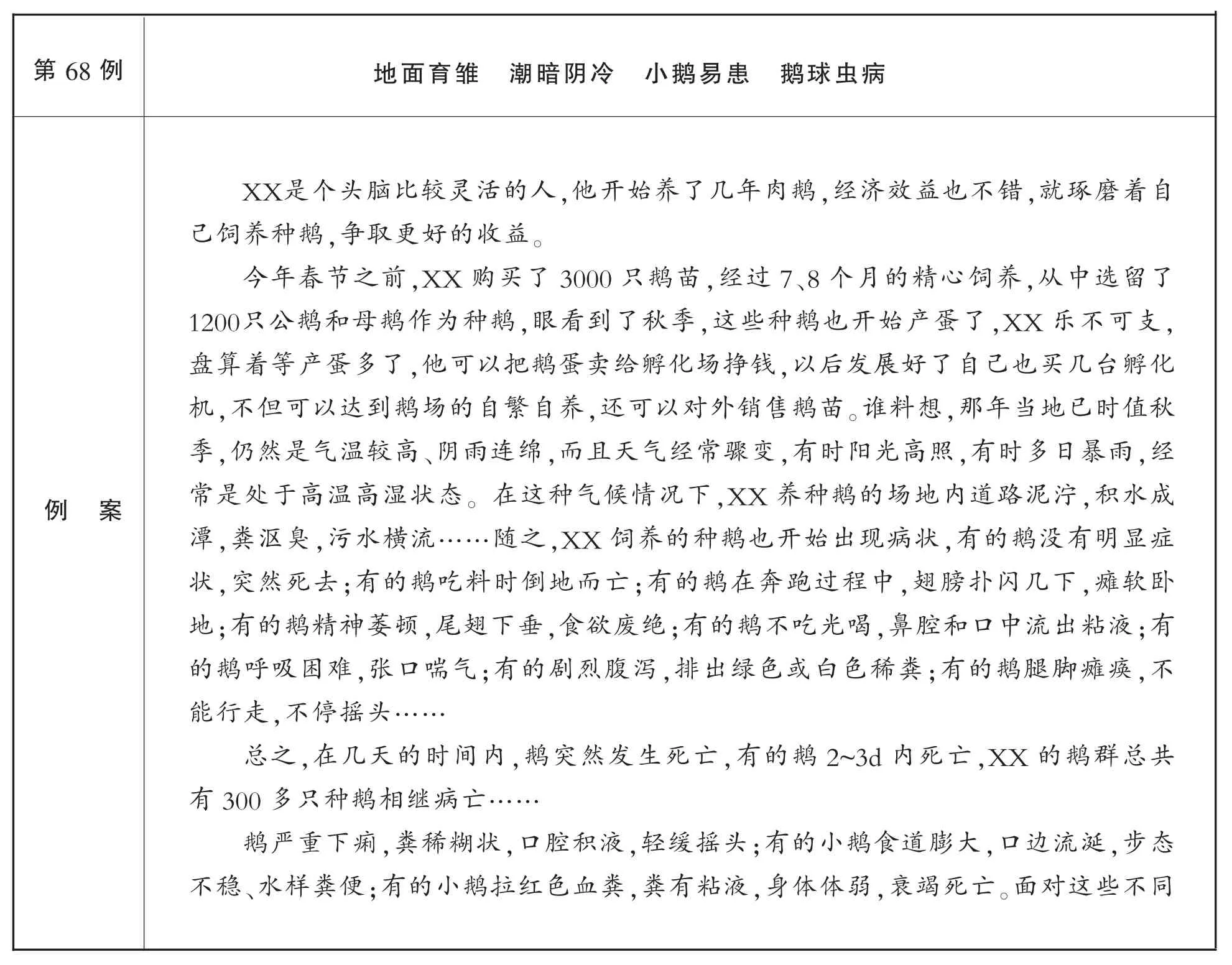 养鹅失误100例