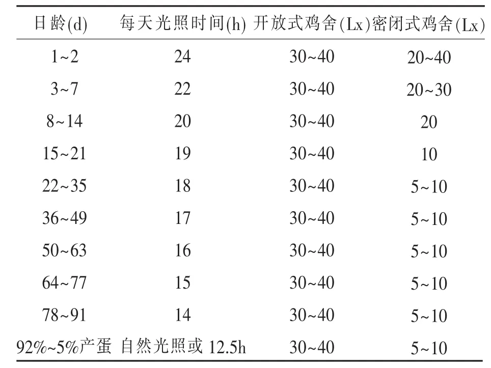 伊莎蛋鸡光照管理