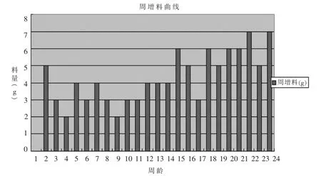 现代肉种鸡饲养管理的关键点(上)