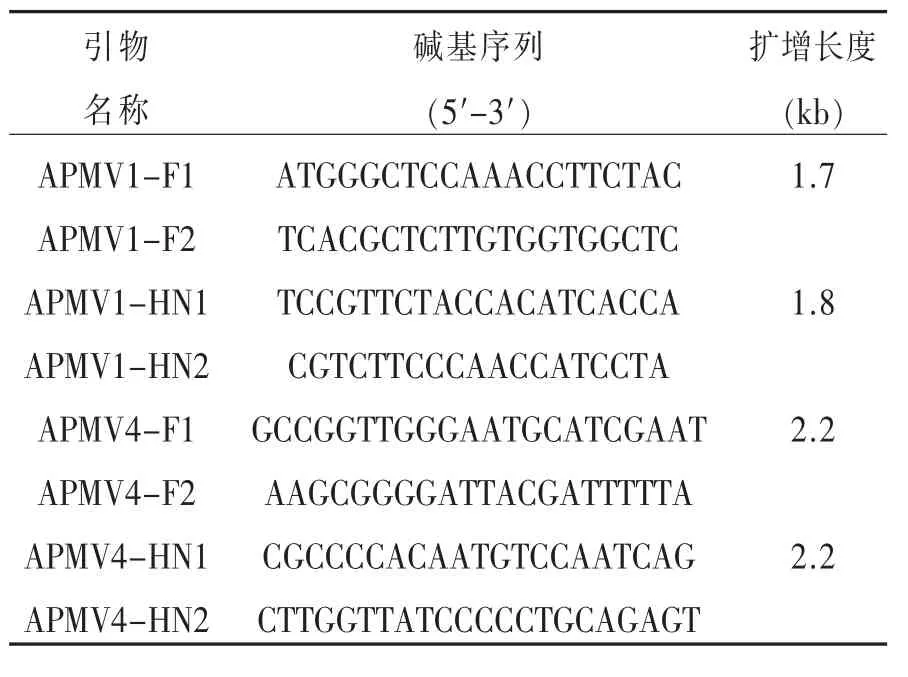 NDV和APMV-4的F和HN蛋白糖基化位点的差异分析比较*