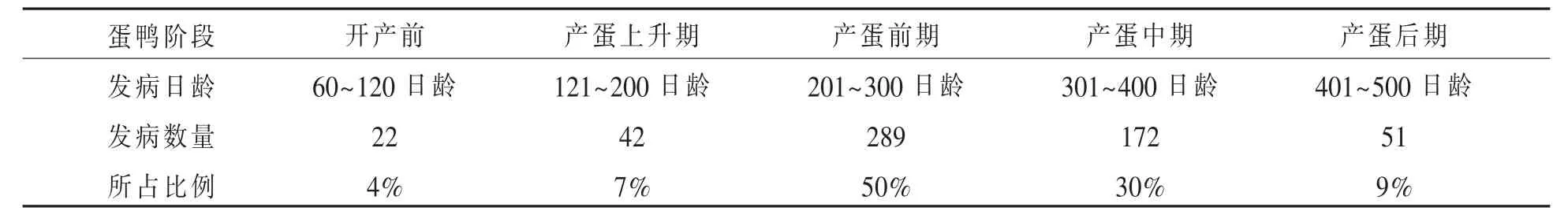 蛋鸭感染坦布苏病毒的现状及防控措施