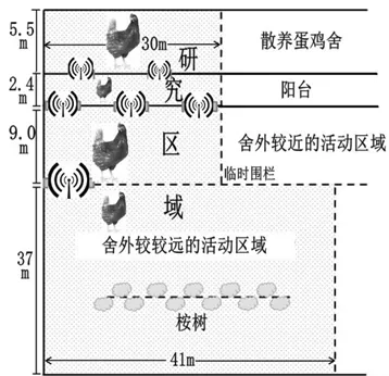 应用无线射频识别技术对散养蛋鸡舍外行为的研究