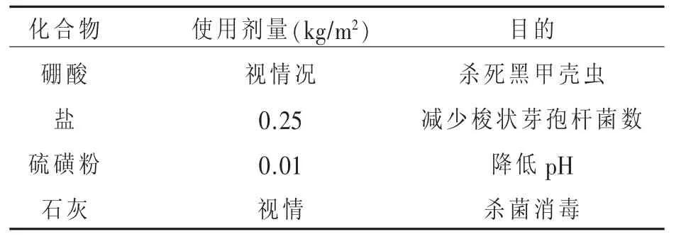 肉种鸡饲养管理中存在的主要问题及对策（上）