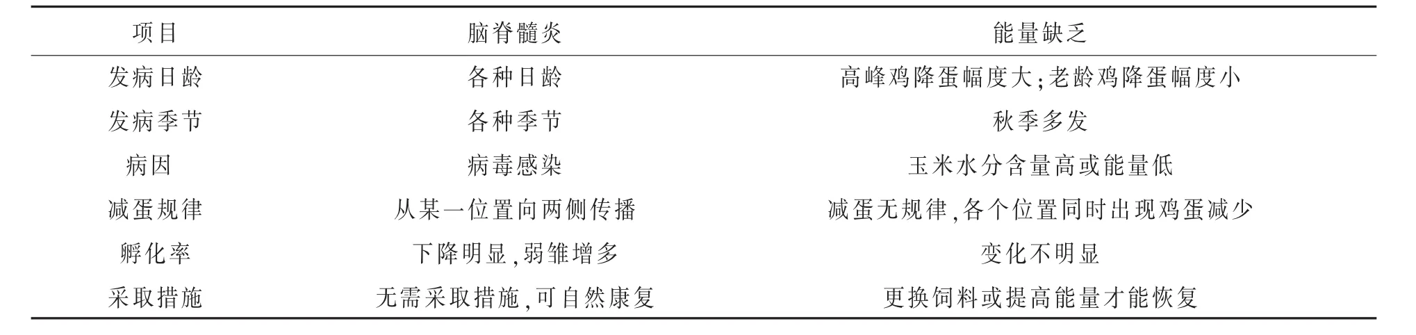鸡脑脊髓炎流行特点及防控措施