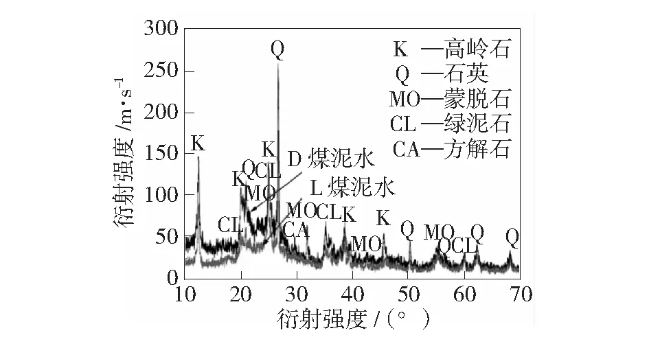 高泥化煤泥水中微细颗粒疏水聚团特性及机理研究
