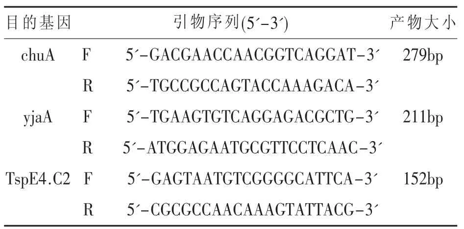 哈尔滨地区鸡大肠杆菌流行情况分析*