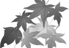 食尚资讯秋季养生预防秋燥