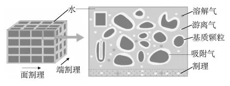 煤储层中煤层气采出机理及其影响因素的理论研究