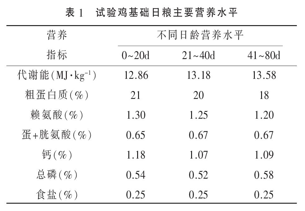 江西白凤鸡、黑凤鸡与地方乌鸡原种体尺性状及屠宰性能测定