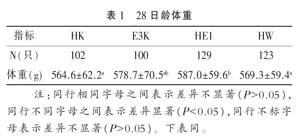 不同三元组合肉鸽生产性能的比较