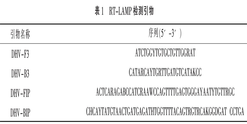 鸭甲肝病毒RT-LAMP检测方法的建立