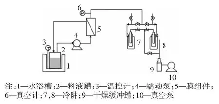 操作条件对渗透汽化法分离乙醇/水的影响
