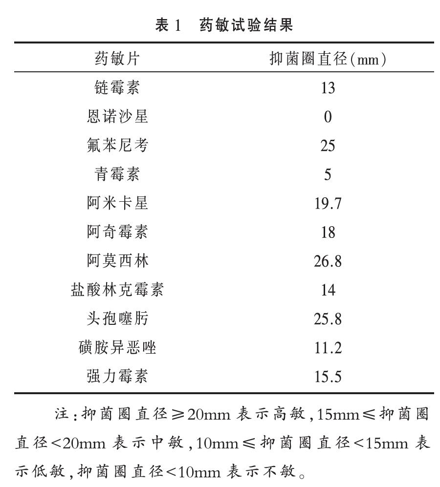 鹅小鹅瘟与浆膜炎混感的诊疗分析