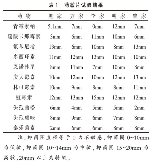 孔雀鸡毒支原体和大肠杆菌病混合感染的诊疗报告