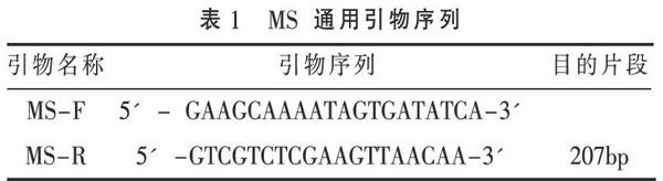 鉴别MS-H疫苗株和MS野毒株的MAMA-PCR检测方法的建立与初步应用