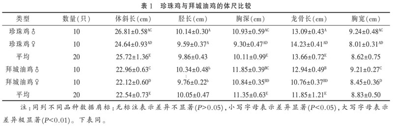 果园散养珍珠鸡与拜城油鸡屠宰性能比较分析