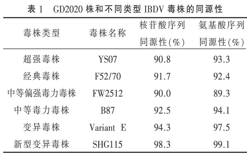 鸡传染性法氏囊病毒新型变异株的分离鉴定