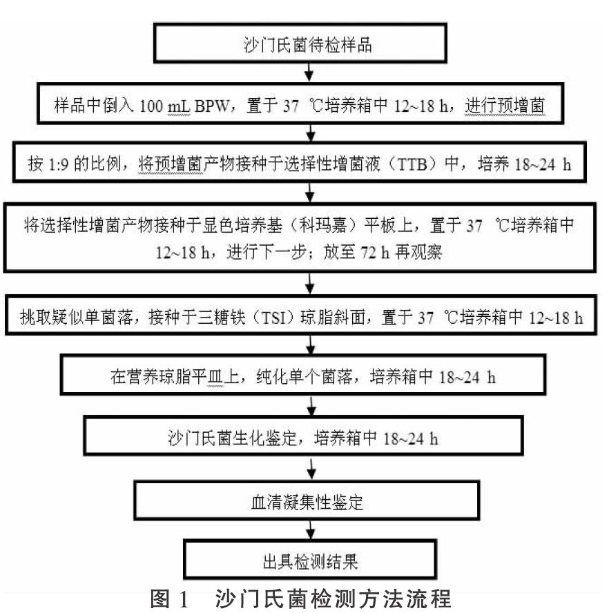 聊城地区817肉雏鸡沙门氏菌溯源调查