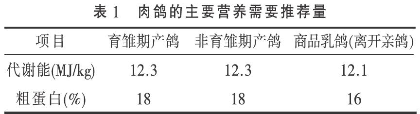 层叠式笼养肉鸽的饲养管理要点