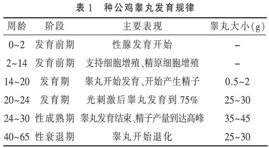 25-羟基维生素D3添加时间对清远麻鸡种公鸡精液质量的影响