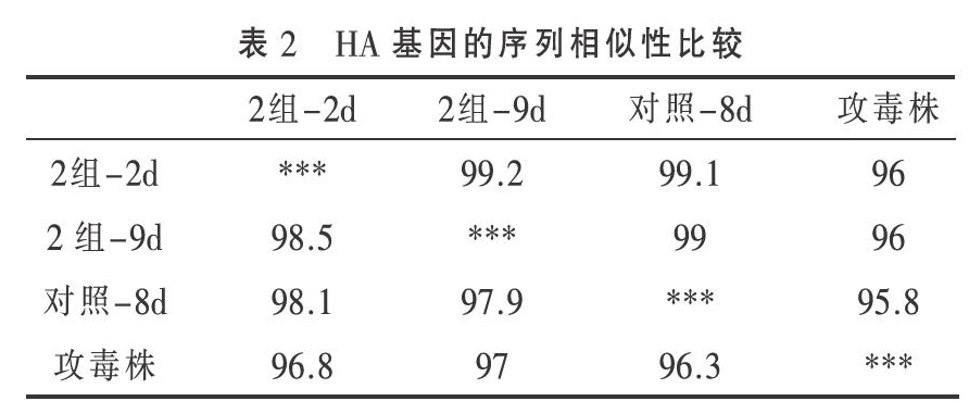 不同免疫抗体水平下H9亚型AIV的排毒规律研究