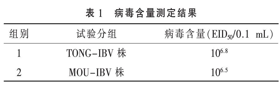 不同来源鸡传染性支气管炎病毒M41株病毒特性的分析比较