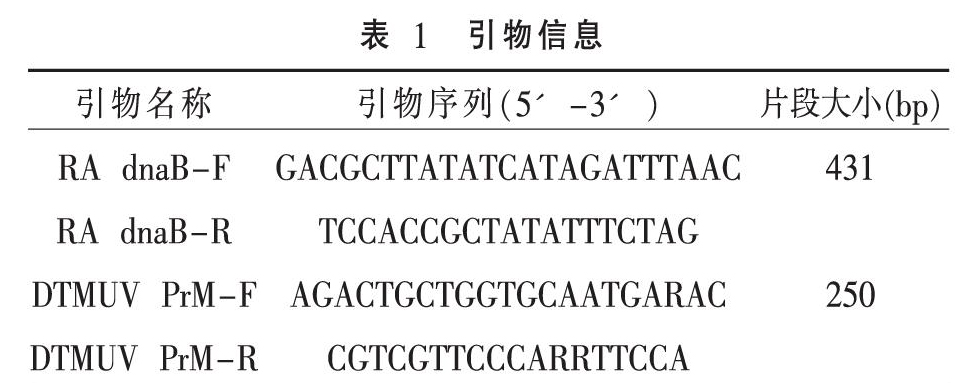 鸭疫里氏杆菌与鸭坦布苏病毒双重PCR方法的建立