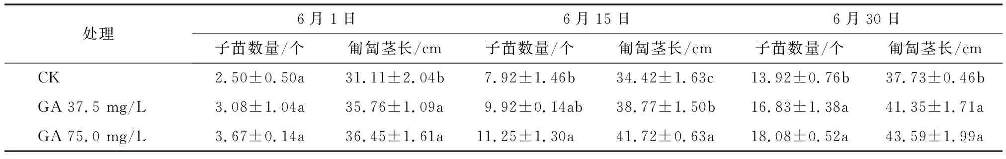 赤霉素对草莓匍匐茎及子苗的影响