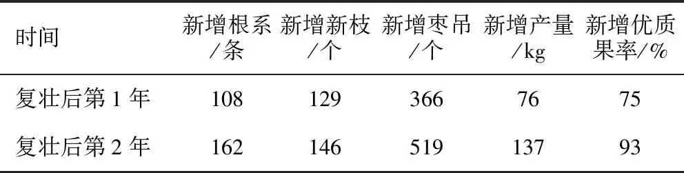 老枣树复壮技术