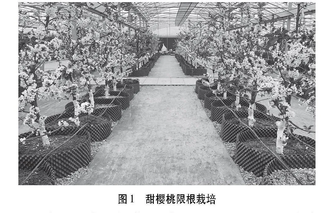 不同混配基质对南方地区限根栽培甜樱桃的影响