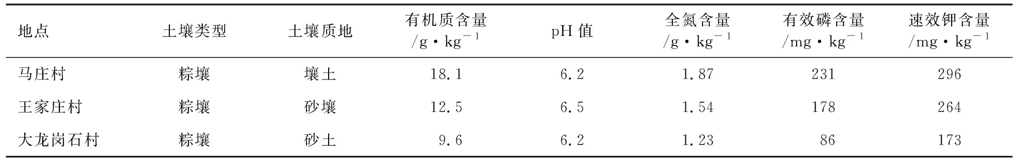 华硕苹果在泰安的性状表现与栽培技术要点