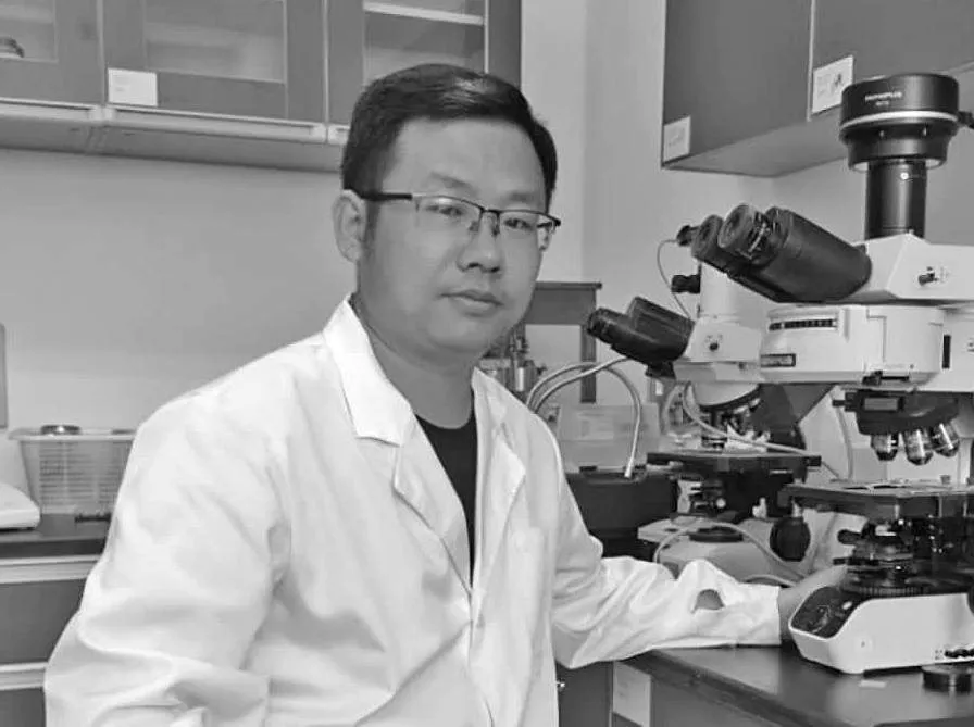 橘小实蝇在中国北方果蔬区的发生与防控概况