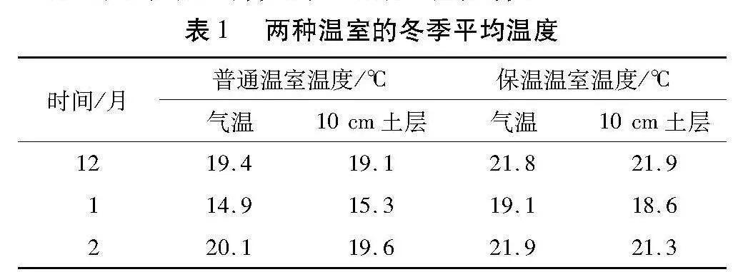 两种温室栽培无花果的效果比较