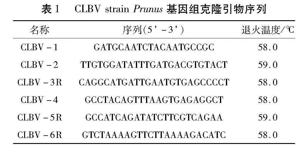 柑橘叶疱斑病毒樱桃株系的全基因组克隆和初步鉴定