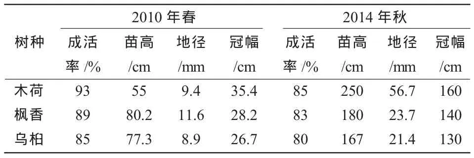 温州山地针叶林景观改造模式研究*